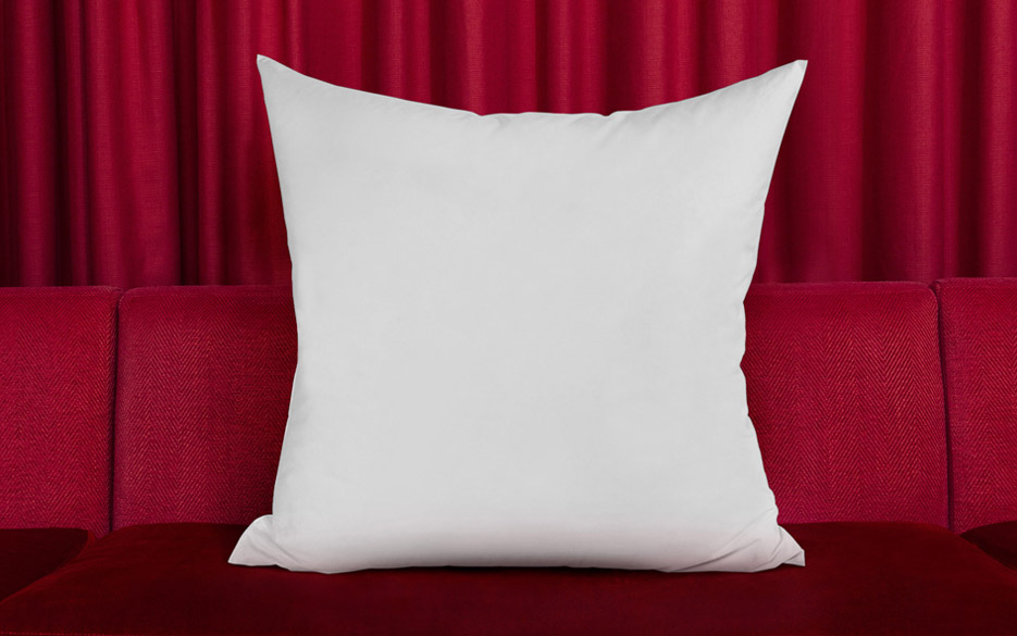 Our Elegant & Comfy Euro Pillow