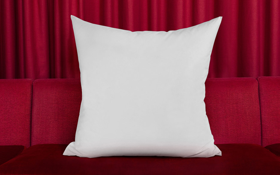 Park MGM Euro Pillow